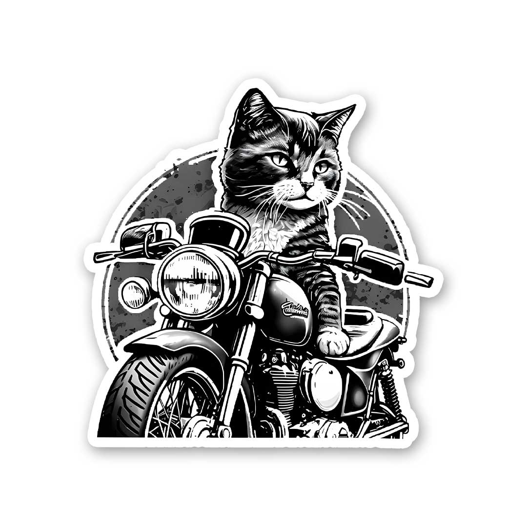 Cat Rider Sticker