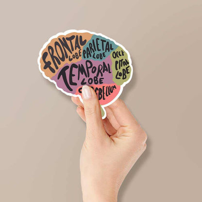 Brain anatomy Sticker | STICK IT UP