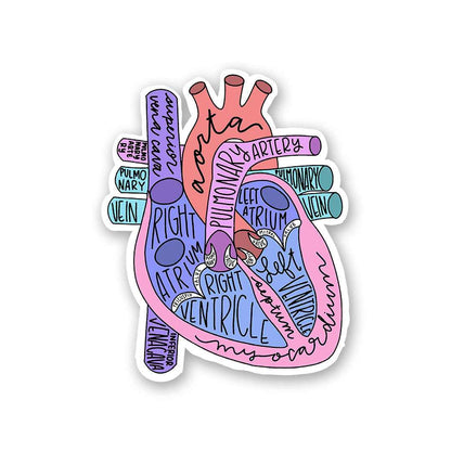 Anatomy Of Heart Sticker | STICK IT UP